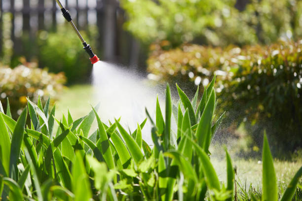 24/7 Emergency Fumigation Services experts in Mena, AR